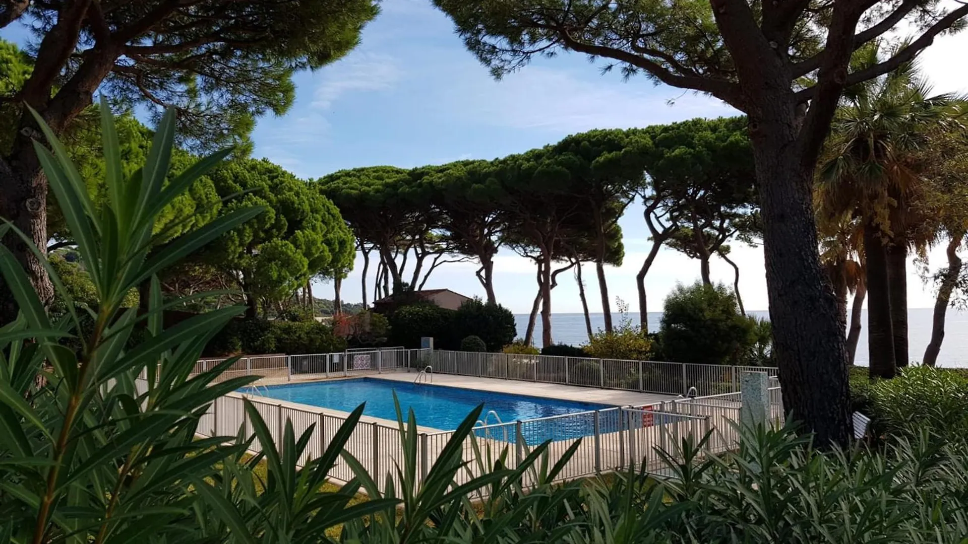 Apartment Appartement Climatise Avec Piscine, Terrasse Vue Mer Et Parking A Sainte-Maxime - Fr-1-780-38 France